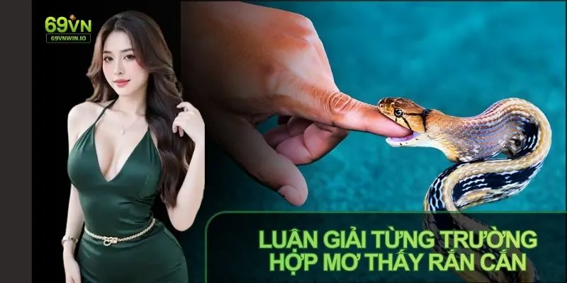 Mơ Thấy Rắn Cắn: Giải Mã Ý Nghĩa Theo Quan Niệm Dân Gian 3 Nếu mơ thấy rắn cắn nhắc nhở bạn quan tâm gia đình