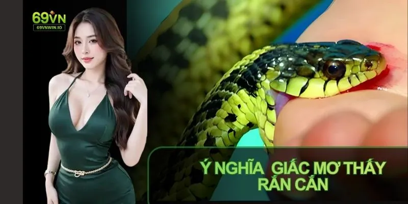 Mơ Thấy Rắn Cắn: Giải Mã Ý Nghĩa Theo Quan Niệm Dân Gian 2 Mơ thấy rắn cắn cho thấy tiềm thức đang bị xáo trộn