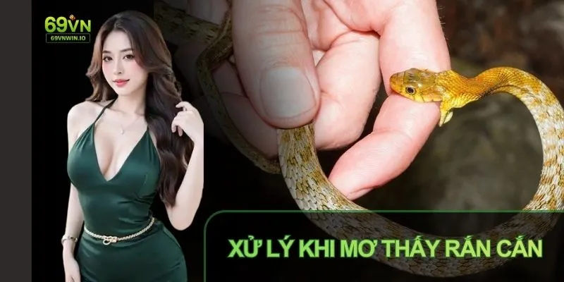 Mơ Thấy Rắn Cắn: Giải Mã Ý Nghĩa Theo Quan Niệm Dân Gian 4 Hãy nói chuyện với người đáng tin giúp bạn xử lý vấn đề